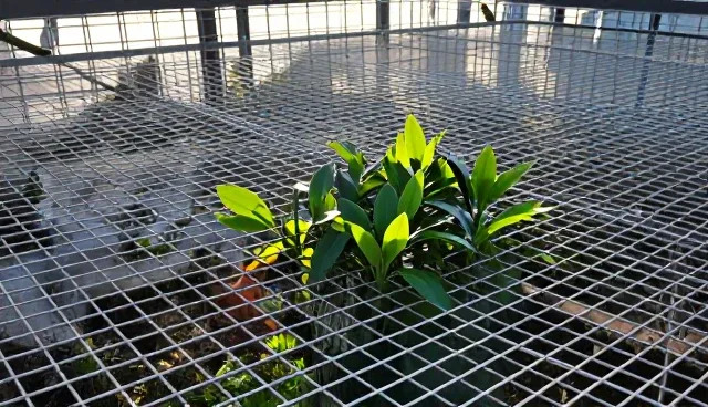 不锈钢丝网在加工中的精度控制问题分析